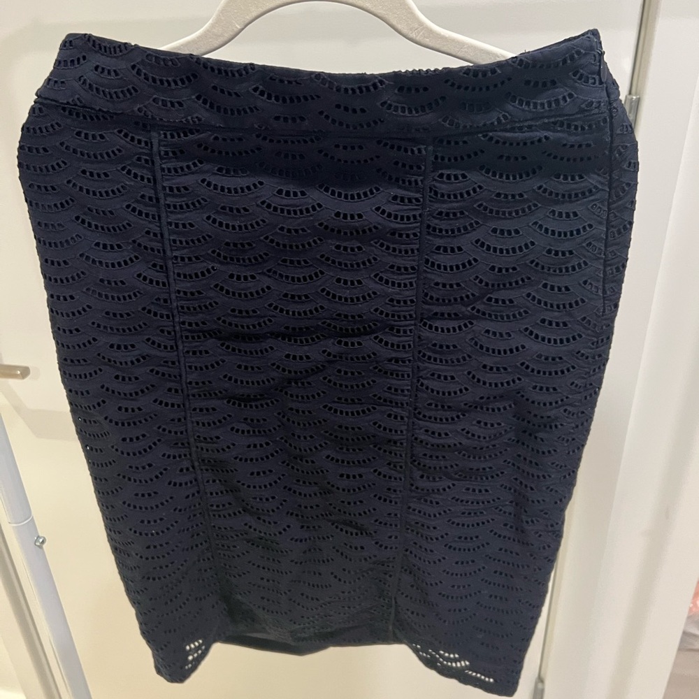 Ann Taylor Navy Skirt